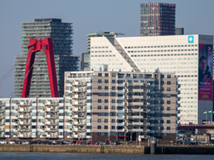 Rotterdam photographer